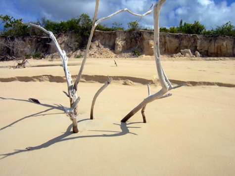 Melanie Heinrich - Travel Images - Barbuda